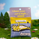 Your Cat Is High Catnip Toy