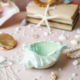 Shell Ash Tray