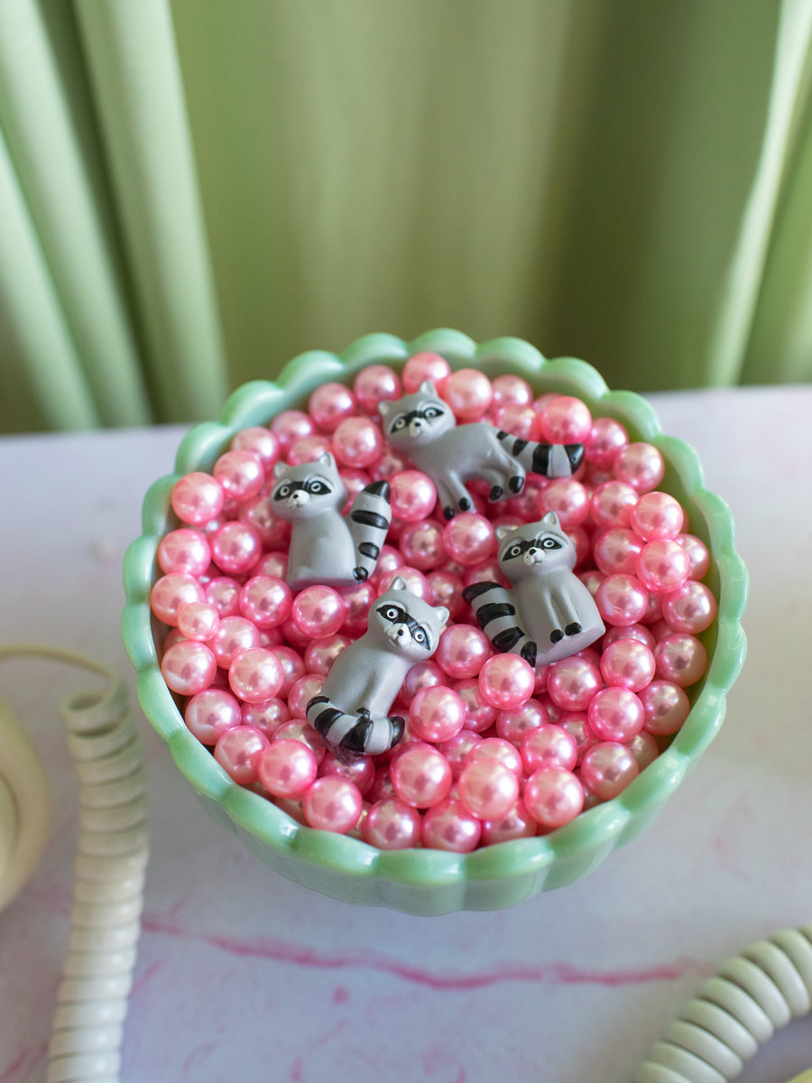 Raccoon Magnet Set