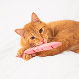 Worm Catnip Toy