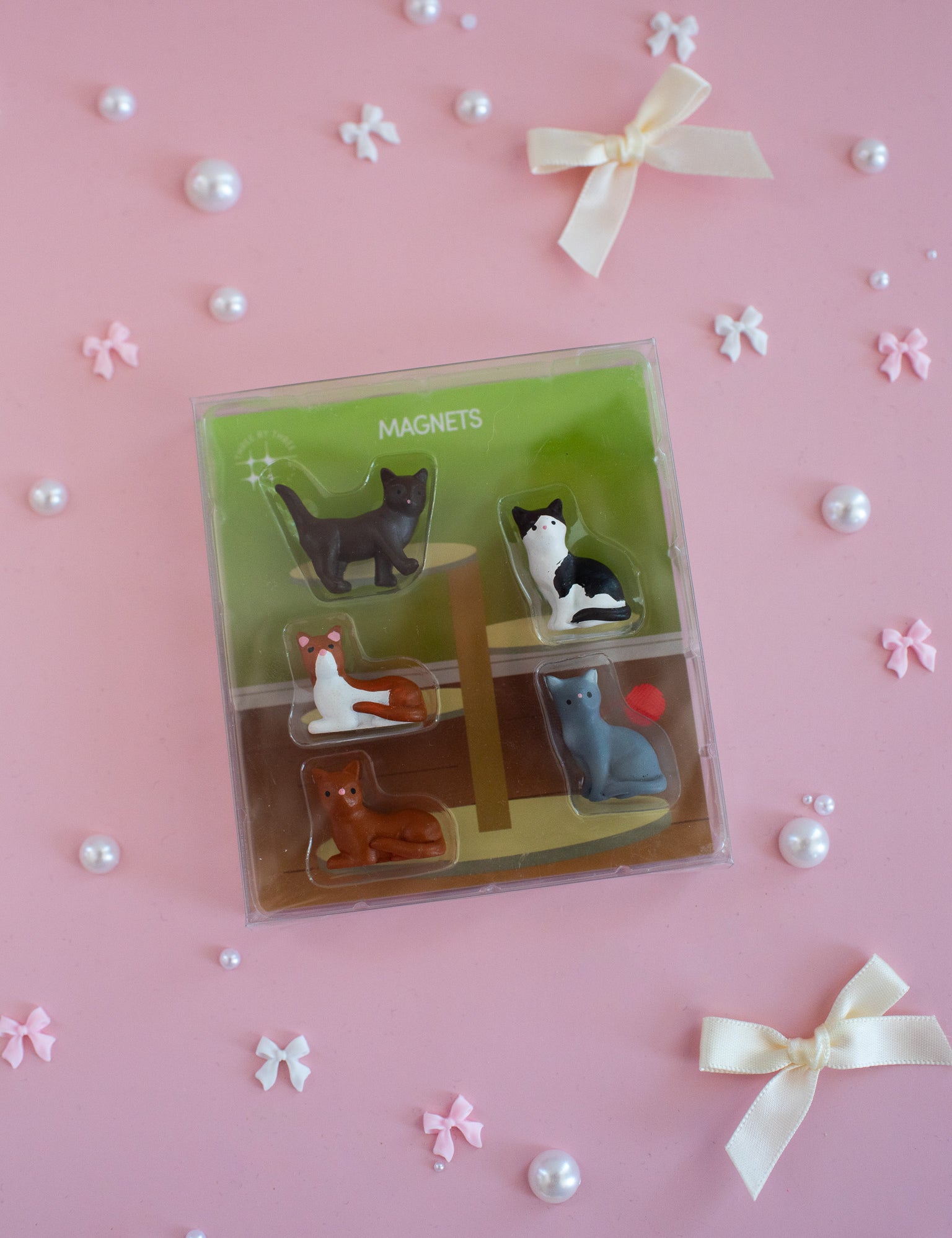 Strawberry Magnet Set