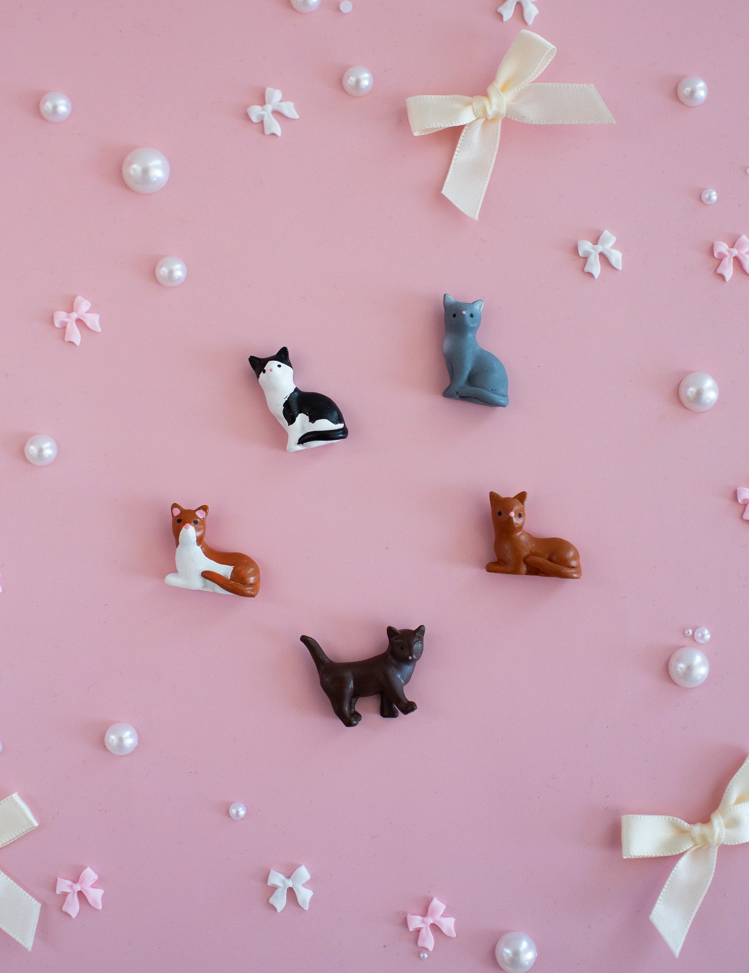 Strawberry Magnet Set