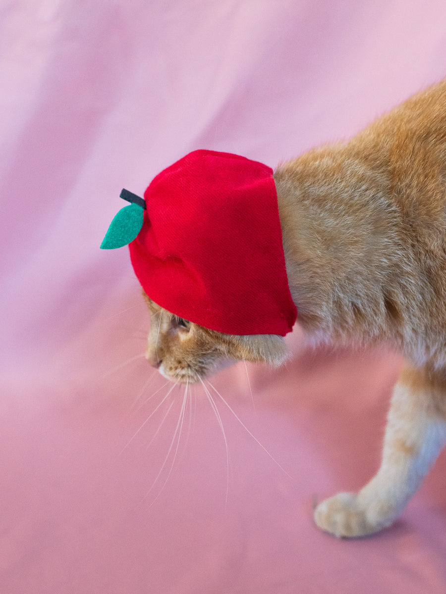 Cat Cap Blind Box - Fruit