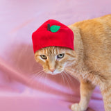 Cat Cap Blind Box - Fruit