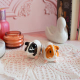 Guinea Pig Salt & Pepper Shaker