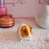 Guinea Pig Salt & Pepper Shaker