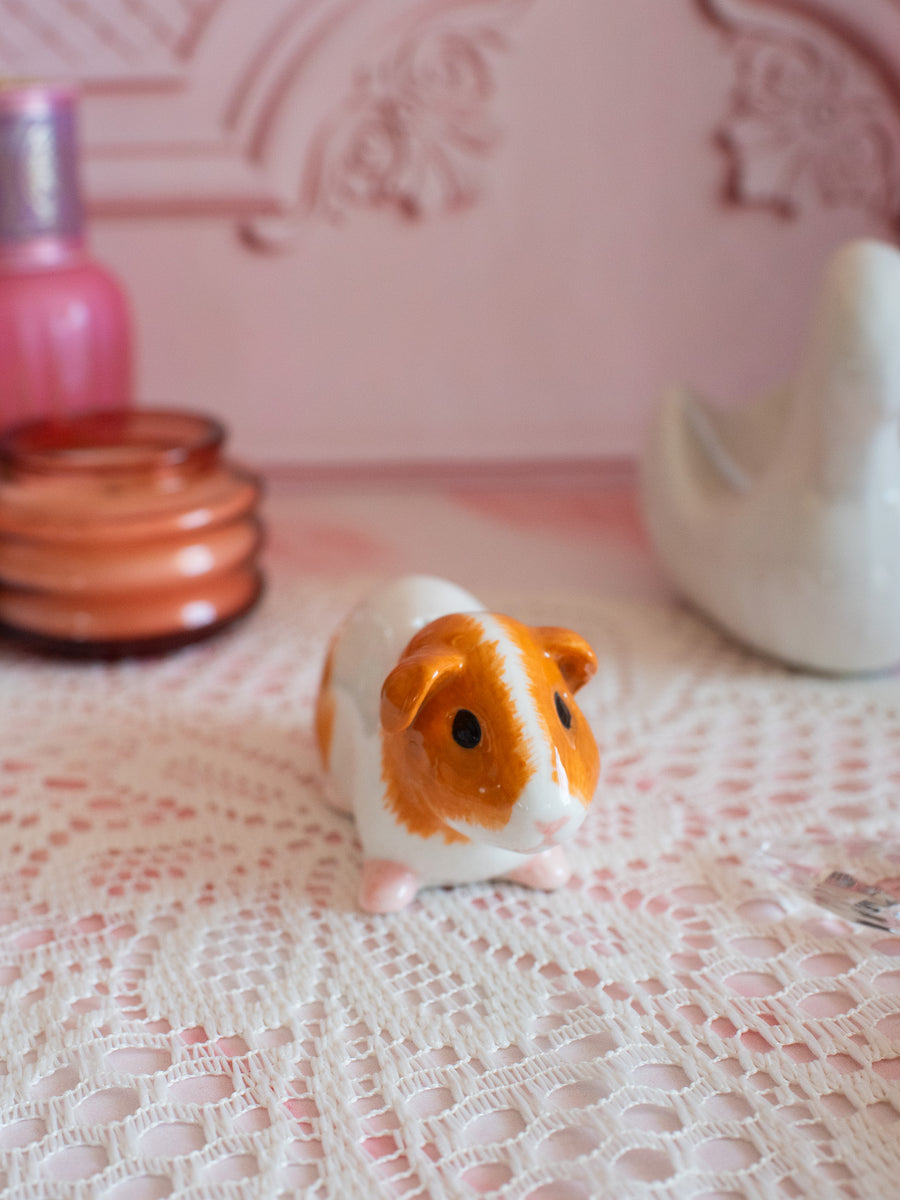 Guinea Pig Salt & Pepper Shaker