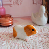 Guinea Pig Salt & Pepper Shaker