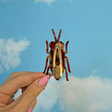 Cockroach Clip