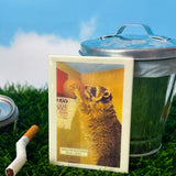 Basketball Raccoon Magnet
