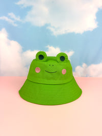 Frog Seltzer Koozie – A Shop of Things