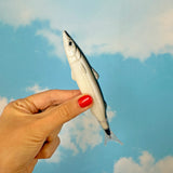 Sardine Pen
