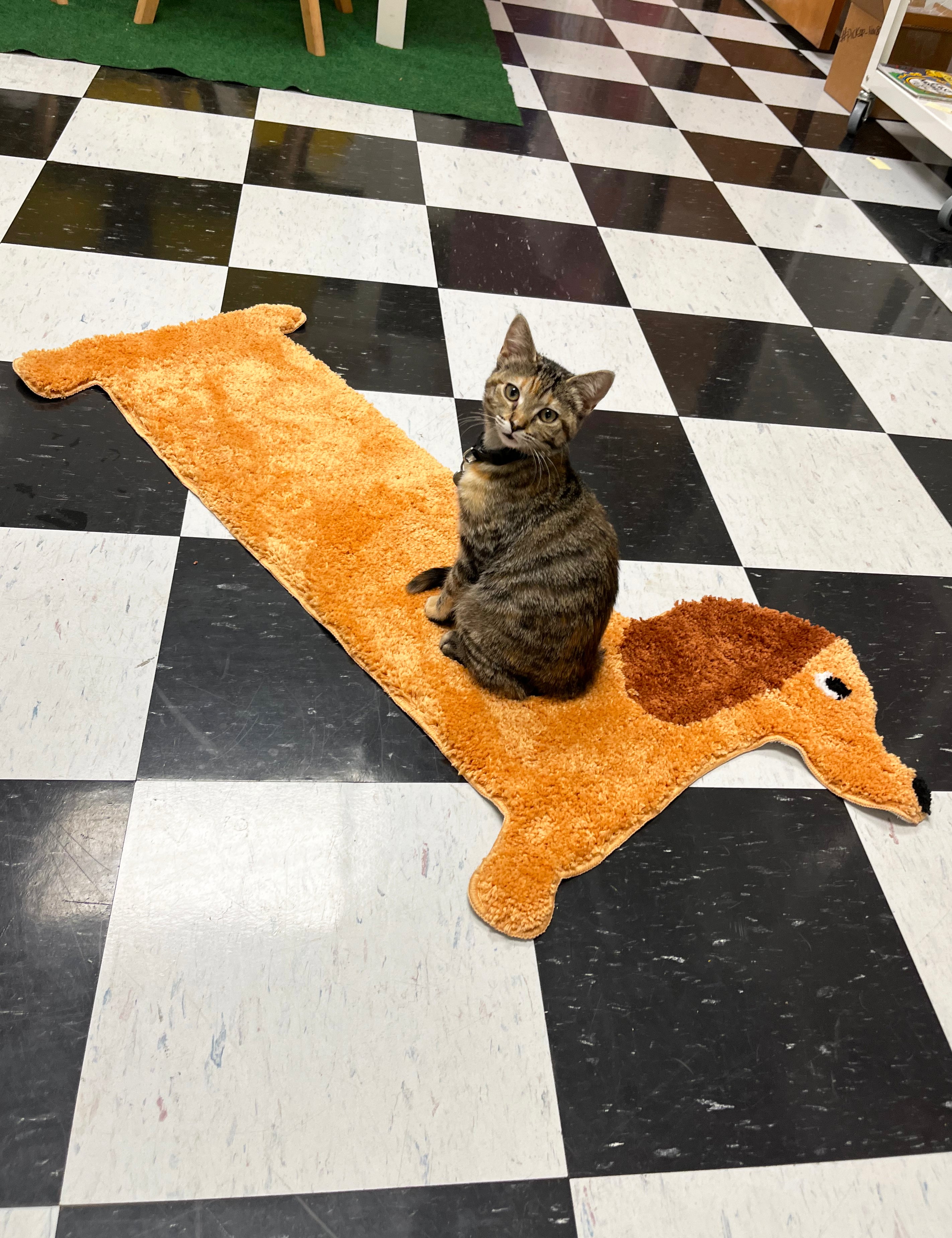Dog Straw Cover