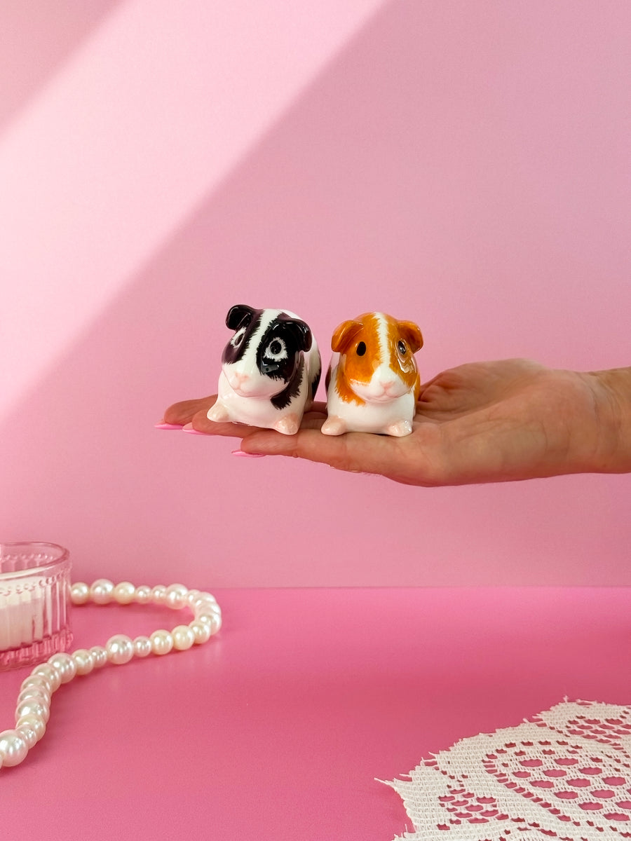 Guinea Pig Salt & Pepper Shaker