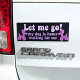 Let Me Go Car Magnet