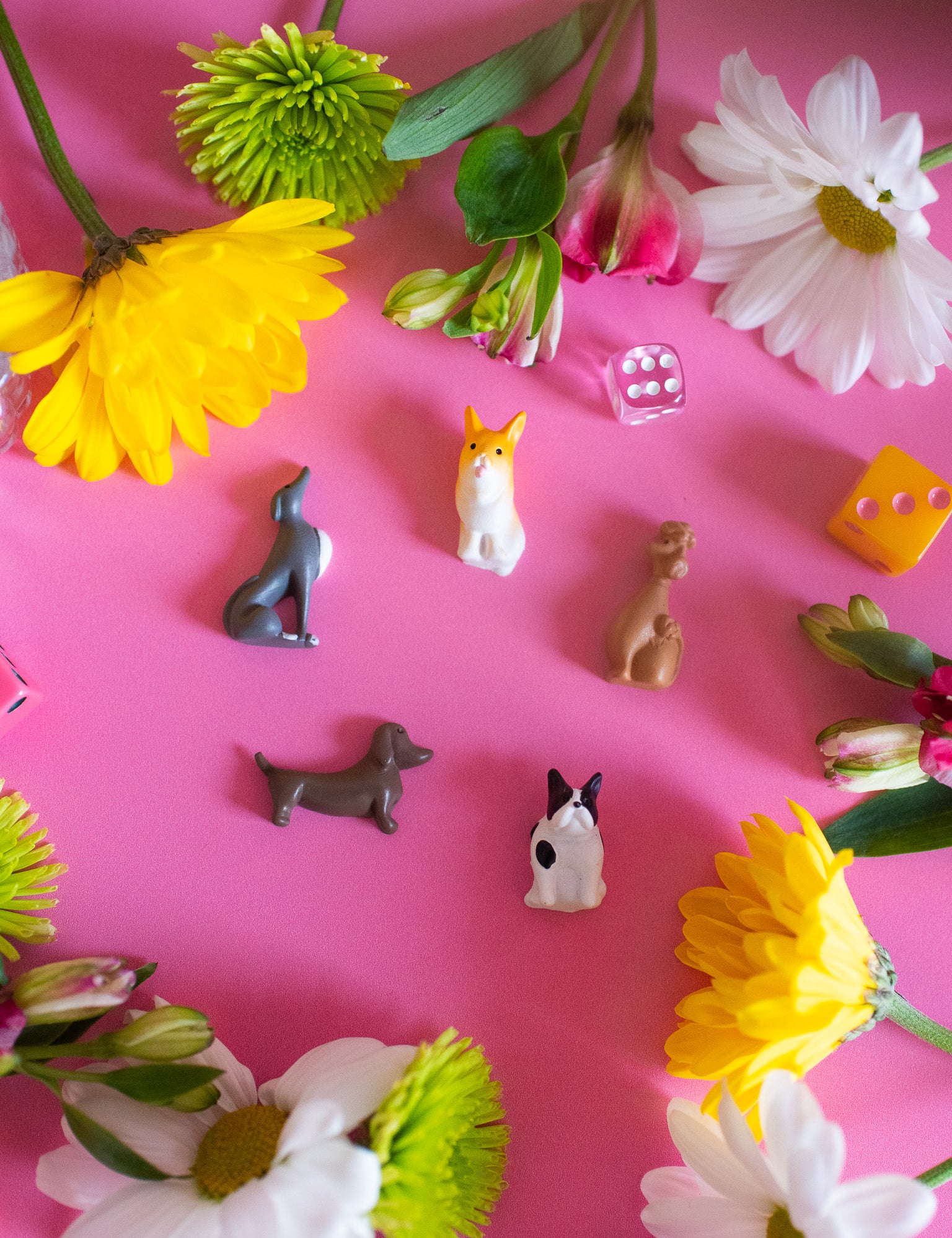Bunny Magnet Set